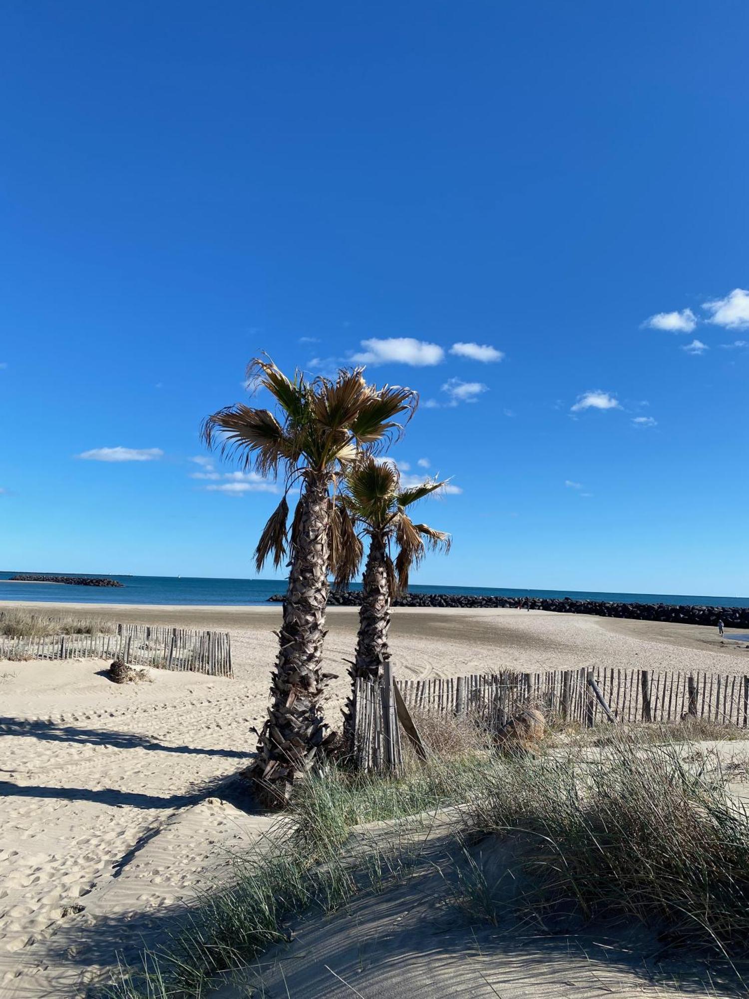 Appart - T3 - 6 Personnes – Golf Cap D’Agde Extérieur photo